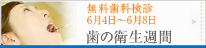 ���̉q���T�ԁ@6��4���`�W���������Ȍ��f